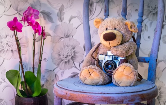 Teddy Bear Camera Orchids Scene Chair Chalk Paint